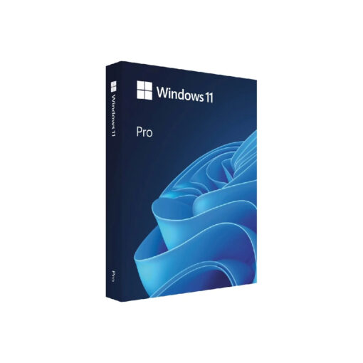 WINDOWS 11 PRO 64 BIT (FPP, HAV-00163)