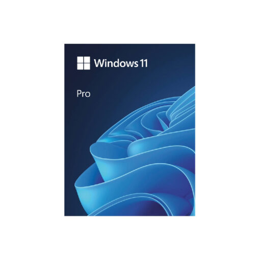 WINDOWS 11 PRO 64 BIT (FPP, HAV-00163) - Image 2