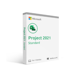 Microsoft Project Standard 2024 (DG7GMGF0PN44)
